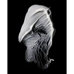 (M)ANASI 7 Přírodní pleťový krém Furora