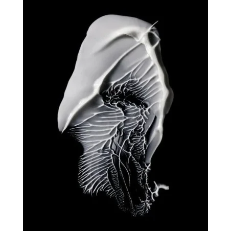 (M)ANASI 7 Přírodní pleťový krém Furora