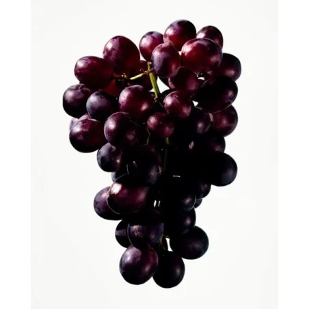 (M)ANASI 7 Přírodní pleťový krém Furora