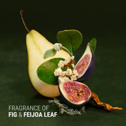 ANTIPODES Fig+Feijoa Regenerační a vyživující kondicionér
