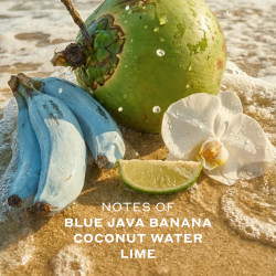 ELLIS BROOKLYN Přírodní parfém Isla Sirena